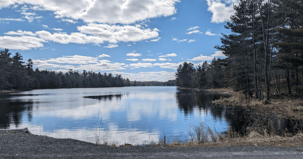 waterfront view at murphys point provincial park | Unleash Adventure at These Stunning Ontario Dog-Friendly Cabin Rentals Cabinscape