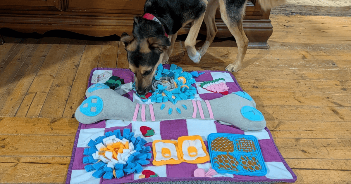 LuftPets Squeaky Bone Snuffle Mat for Dogs | 2025 Holiday Gift Guide for Pets Who Love the Outdoors