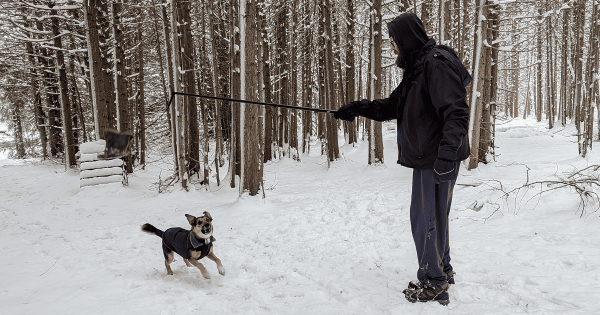 SwiftPaws Flirt Pole | 2025 Holiday Gift Guide for Pets Who Love the Outdoors